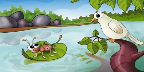 The Ant and the Dove বিষয়ক Story Writing নিয়ে আলোচনা, ৩য় পর্ব, এইচএসসির ইংরেজি ১ম পত্র